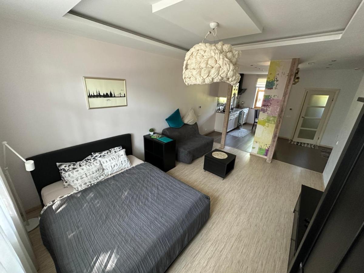 Studio Apartment In Private House Ρίγα Εξωτερικό φωτογραφία